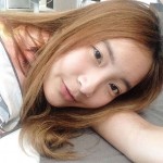 เฟิร์น Fern